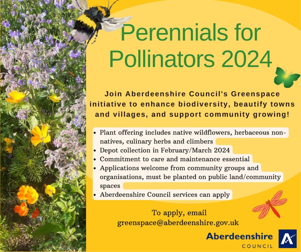 Perennials for Pollinators 2024 Councillor Mel Sullivan